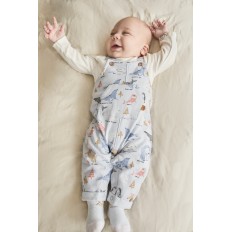 CONJUNTO PETO ANIMALES